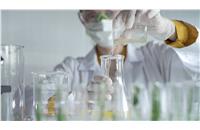 Newsletter 11 | Preclinical Dose Formulation Preparation Challenges and Practical Strategies