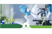 Newsletter 4 | Botanical Safety with NAMs: Insights from Acorus calamus Rhizome Oil