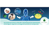 Newsletter 5 | Development of an In Vitro ERα CALUX assay for assessment of Estrogenic Agonist & Antagonist activity of compounds