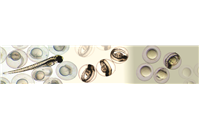 Newsletter 6 | June 2021 - Zebrafish Embryo-Larvae: Model of Ototoxicity