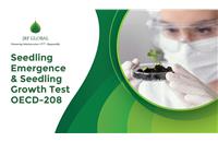 Newsletter 4 | August 2023 - Seedling Emergence & Seedling Growth Test (OECD - 208)