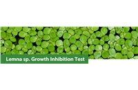 Newsletter - 4 | April 2019 Lemna Sp. Growth Inhibition Test