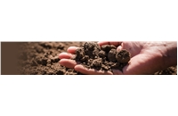 Newsletter - 6 | June 2020 Soil Characterisation
