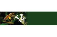 Newsletter 10 | October 2021 - Honeybee (Apis mellifera L.) Larval Toxicity Test, Single Exposure