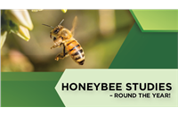 Newsletter 2 | May 2022 - Honeybee studies - Round the year!