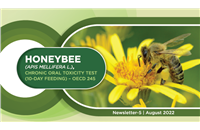 Newsletter 5 | August 2022 - Honey Bee (Apis Mellifera L.), Chronic Oral Toxicity Test (10-Day Feeding)